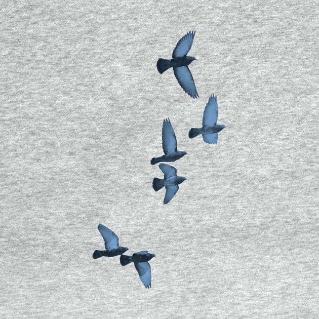 flying birds by frndpndrlc